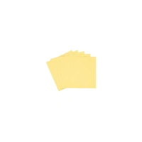 Light Gold 4 X 4 Foil For Wrapping Chocolates(4X4)
