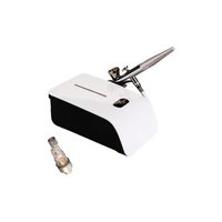 Airbrush Machine With Moisture Trap - White Colour Kit