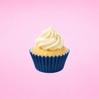 Navy Blue Mini 25mm Grease-Proof Cupcake Cases- 50 Pieces - Cupcake Case 