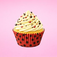 Lady Bug Greaseproof 250Pce 50X35mm Cupcake Cases Iconic Cake Art