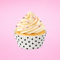White With Black Polka Dots - Tube -  500 Pieces - Greaseproof Baking Cups