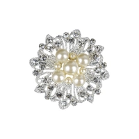 Stylish A-Grade Pearls Type 2 - Crystal Clear Rhinestone Brooch Buckle 