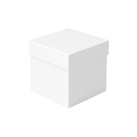 2.Cake Box (6 X 6 X 6)