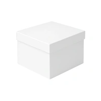 Cake Box (12 X 12 X 6)