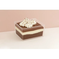 Plastic Dessert  Cup Square 140ml - 10Pc