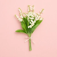 Lily Of Valley Set Of 2 - Fmm Cake Decorating Tools