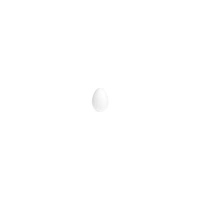 35mm Foam Egg- 10 Pack - Flower Making Tools