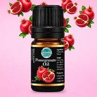 ** 5ml Pomegranate Oil - Iconic Cake Art
