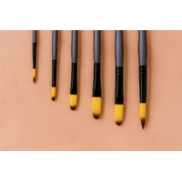 Premium Paint Brush Set 007 6 Taklon Brushes