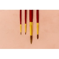 Premium Paint Brush Set 015 Round 2 4 6 Mop 12 4 Pony Hairbrushes
