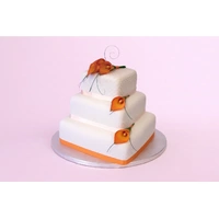 Fmm Press Ice - Polka 1