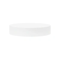 Round Foam 9 X 1.5 High Styrofoam Polystyrene Cake Dummy