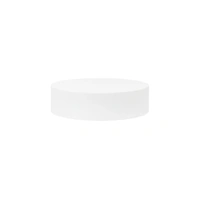 Round Foam 8 X 2 High Styrofoam Polystyrene Cake Dummy