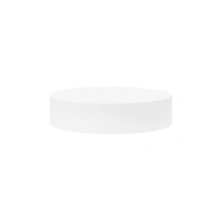 Round Foam 9 X 2 High Styrofoam Polystyrene Cake Dummy