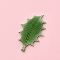 Holly Leaf Large Plunger Cutters Set Of 3 - Christmas Decorations