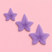 Veined Ivy Leaf Plunger Cutter - Large - Set Of 3