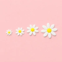 Daisy & Marguerite Plunger Cutters