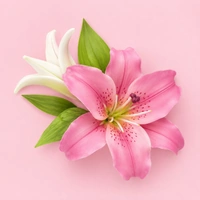 Veined Lily Leaf Plunger Cutter Set - Large