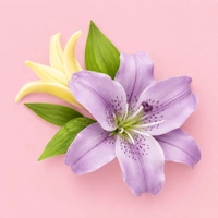 Veined Lily Leaf Plunger Cutter (80 mm) Set - Medium