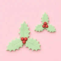 Three-Leaf Holly Plunger Cutters Set Of 2